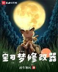 宝可梦修改器pksm怎么用