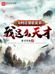 我这么天才为何还要收徒弟的境界