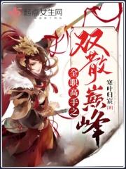 全职高手之散人高手