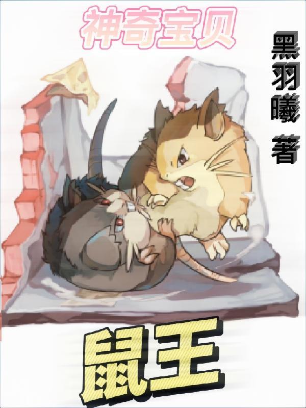 神奇宝贝 老鼠