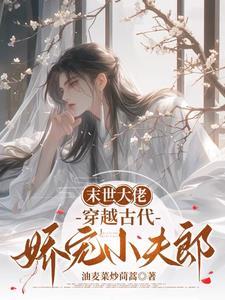 穿越古代娇宠小夫郎全文阅读