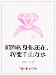 转身回眸的歌