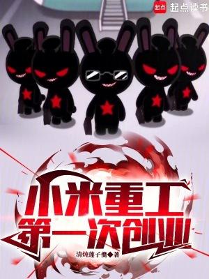 小米 有限公司