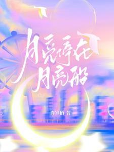 停在月亮上面是什么歌的歌词