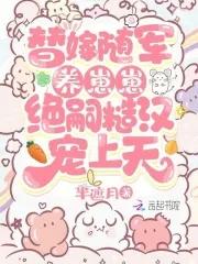 替嫁侍卫